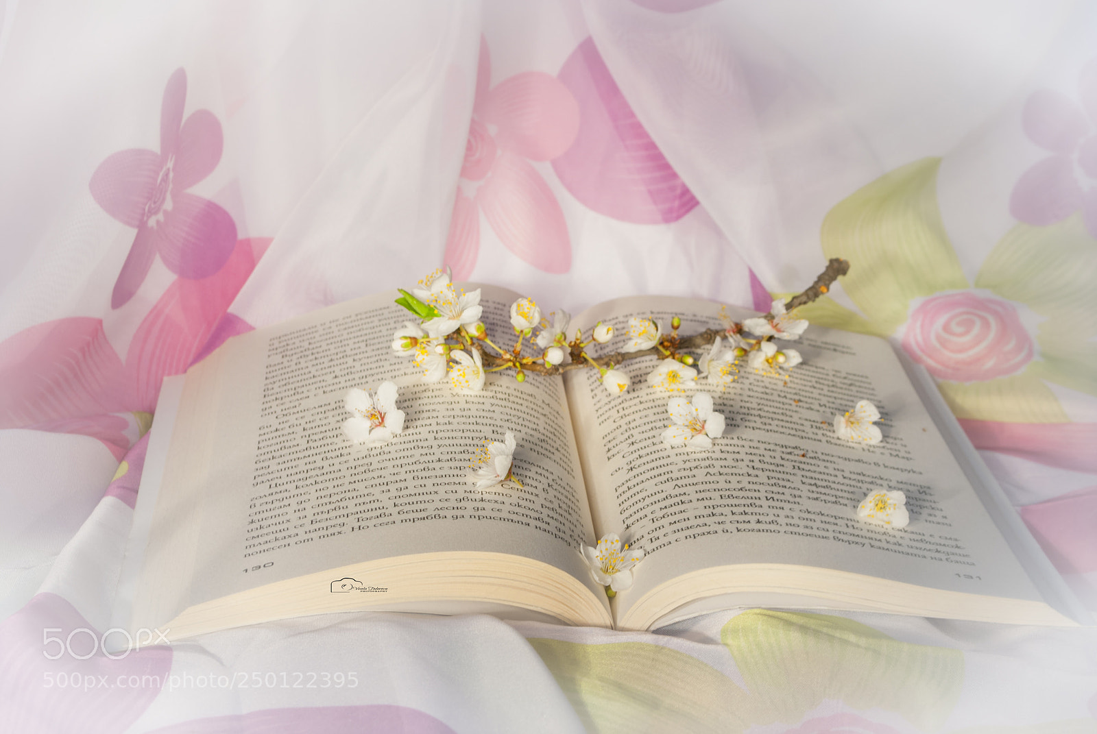 Nikon D3000 sample photo. Happy spring photography