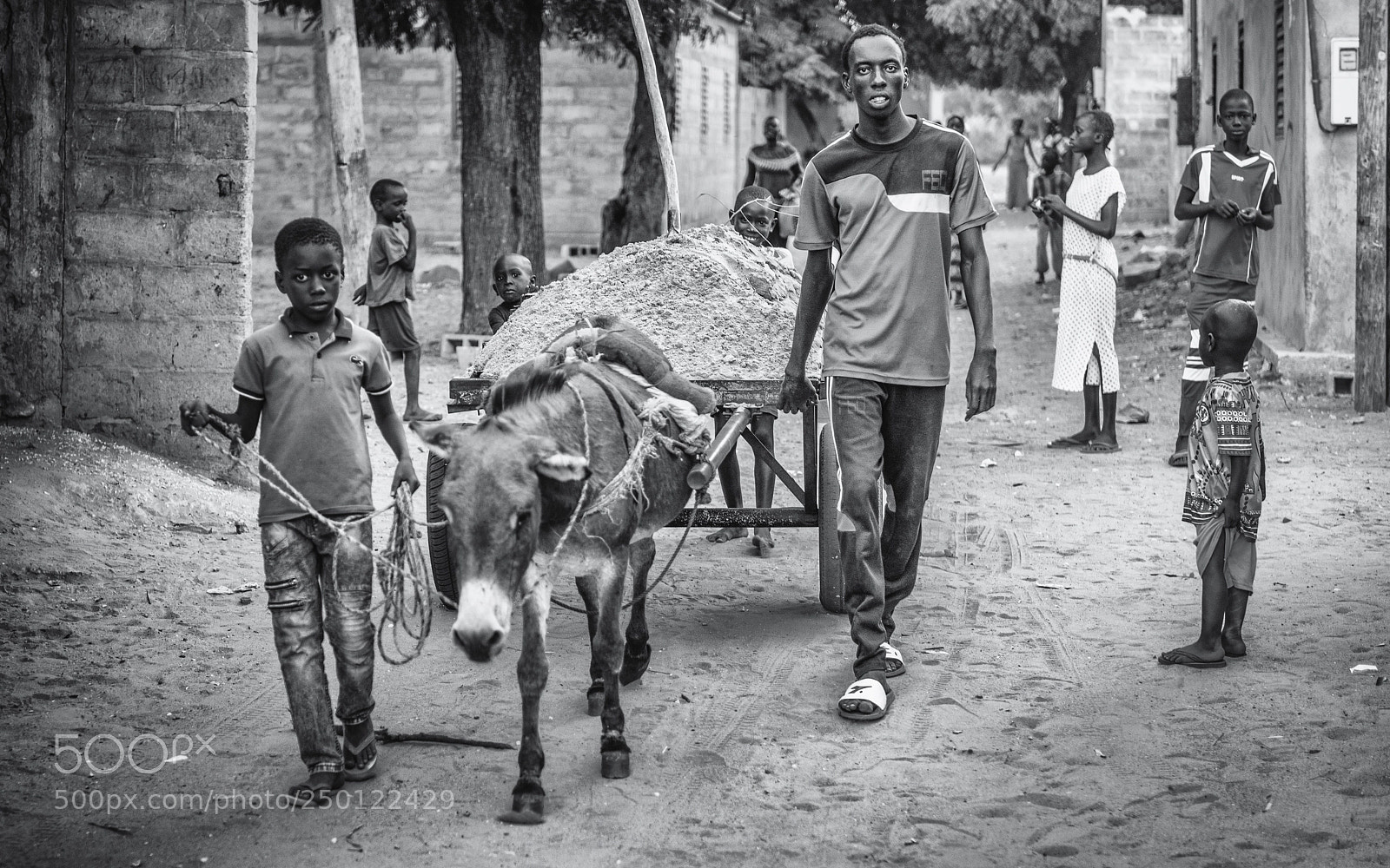Nikon D800 sample photo. Heavy load donkey trans photography