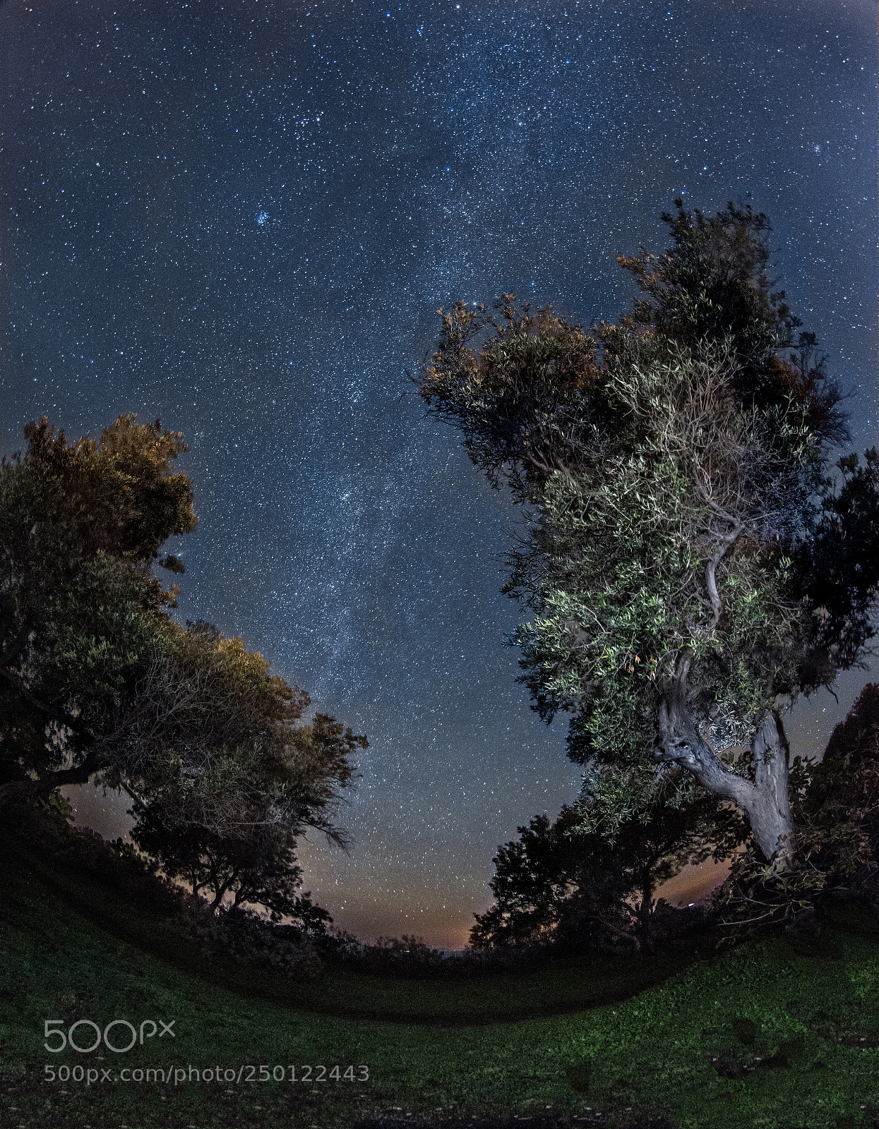 Nikon D7200 sample photo. Milkyway focus photography