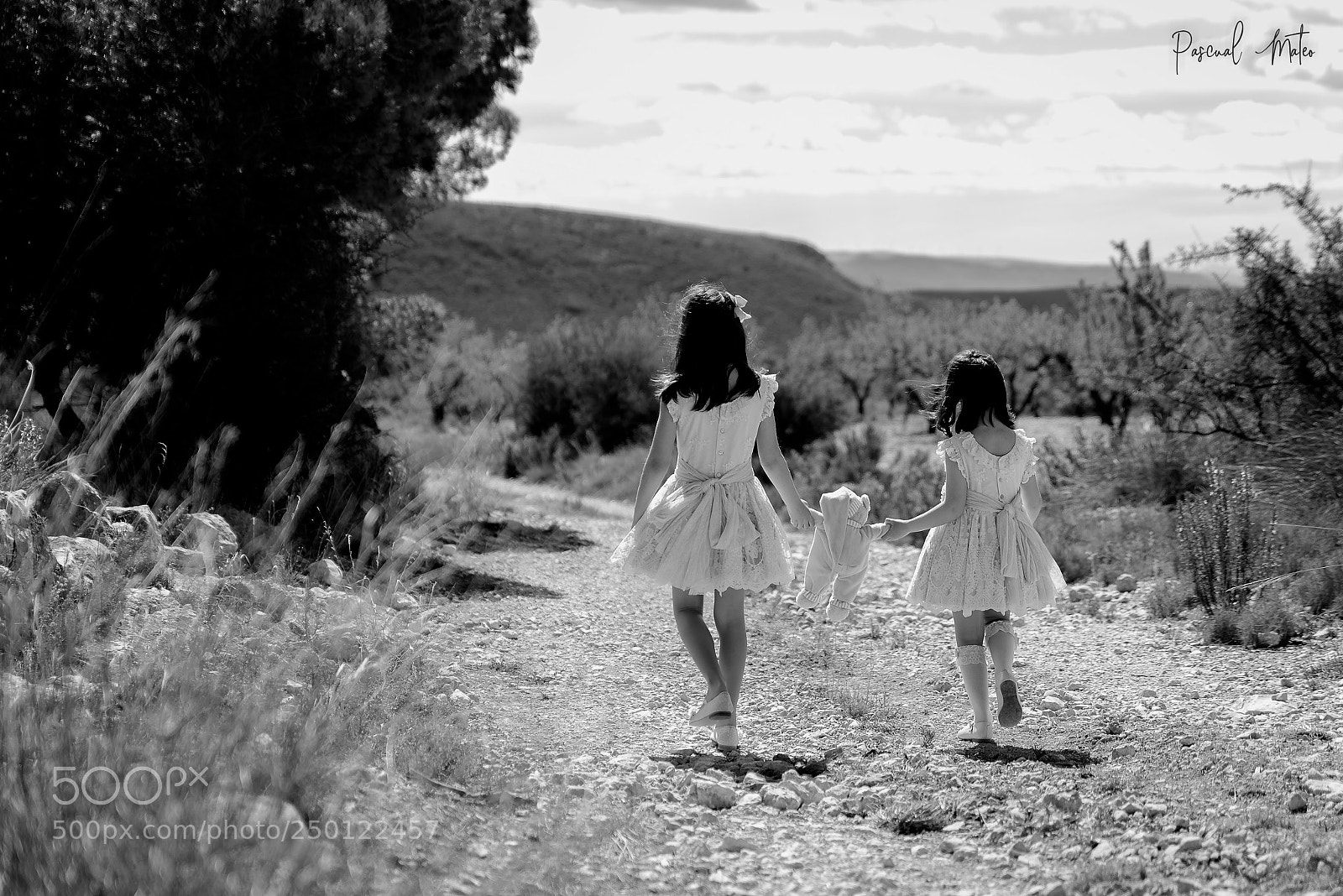 Nikon D610 sample photo. Paseo por el campo photography