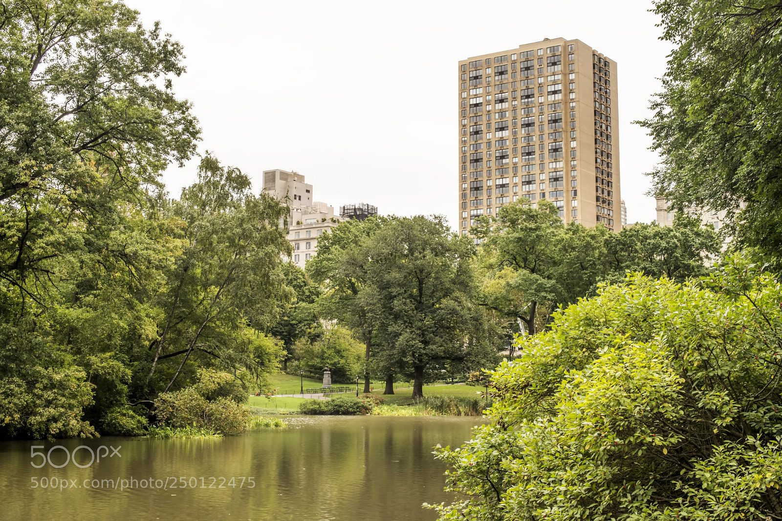 Nikon D600 sample photo. Park view (1) photography