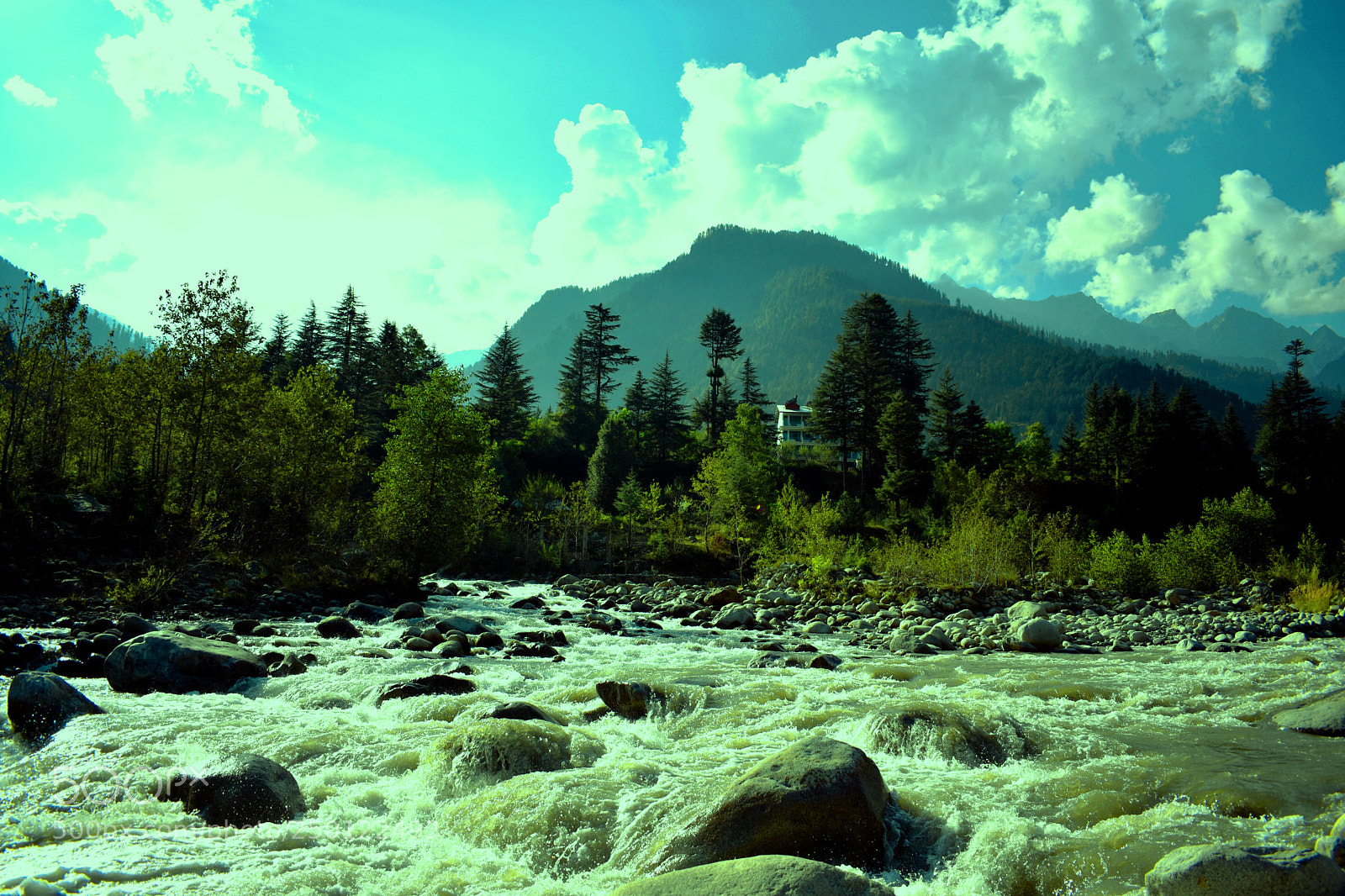 Nikon D3400 sample photo. Beas river photography