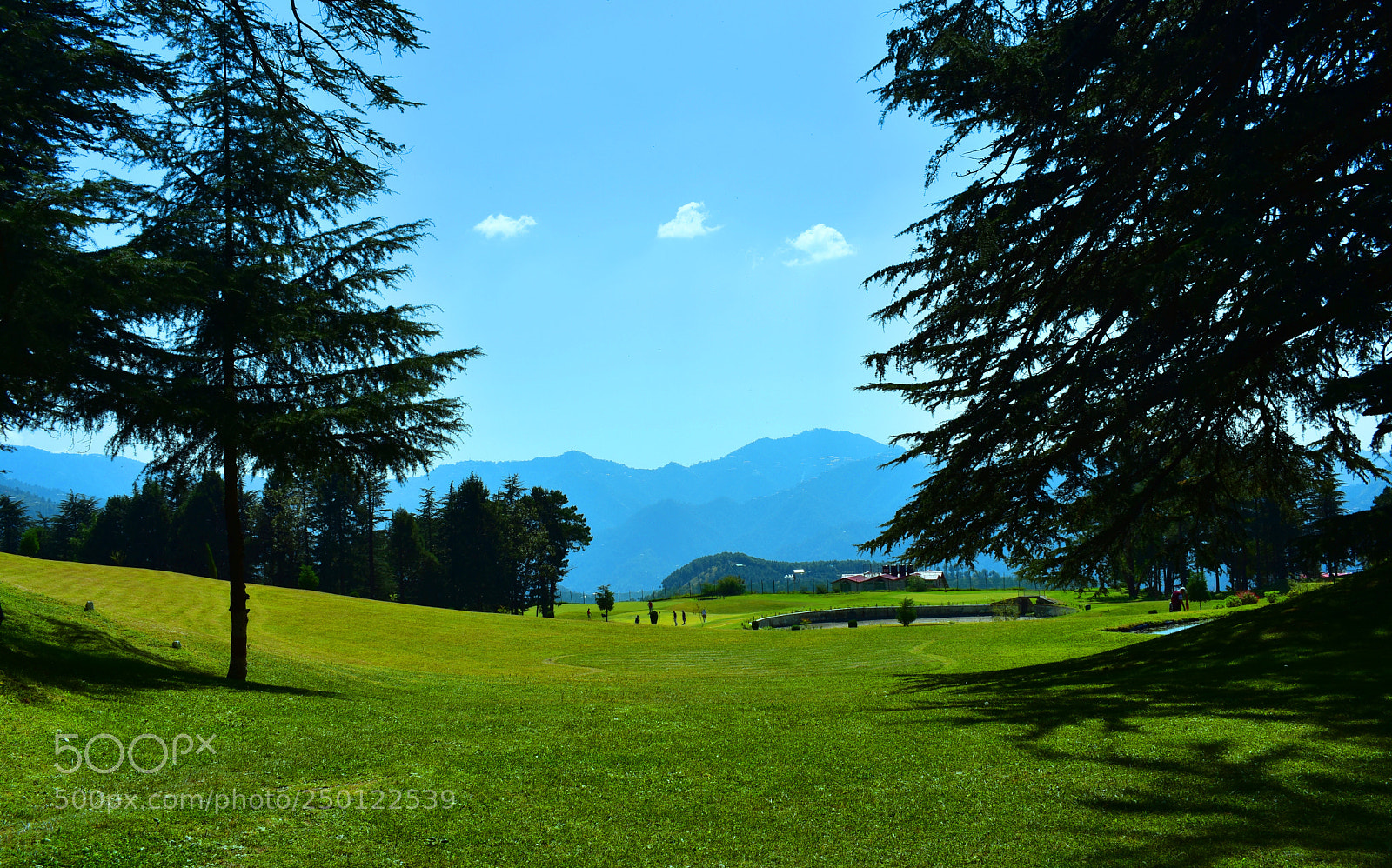 Nikon D3400 sample photo. Golf course photography