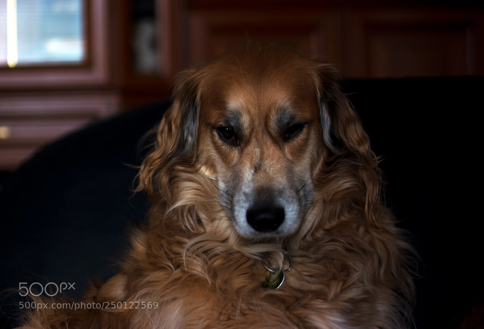 Nikon D5200 sample photo. Waiting ... photography