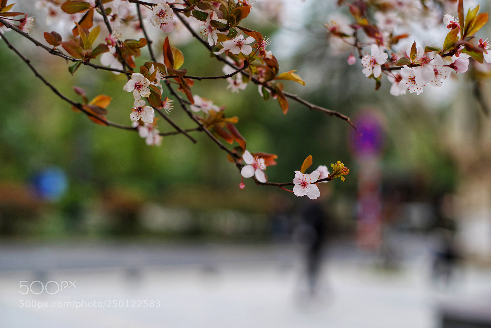 Pentax K-1 sample photo. Untitled photography