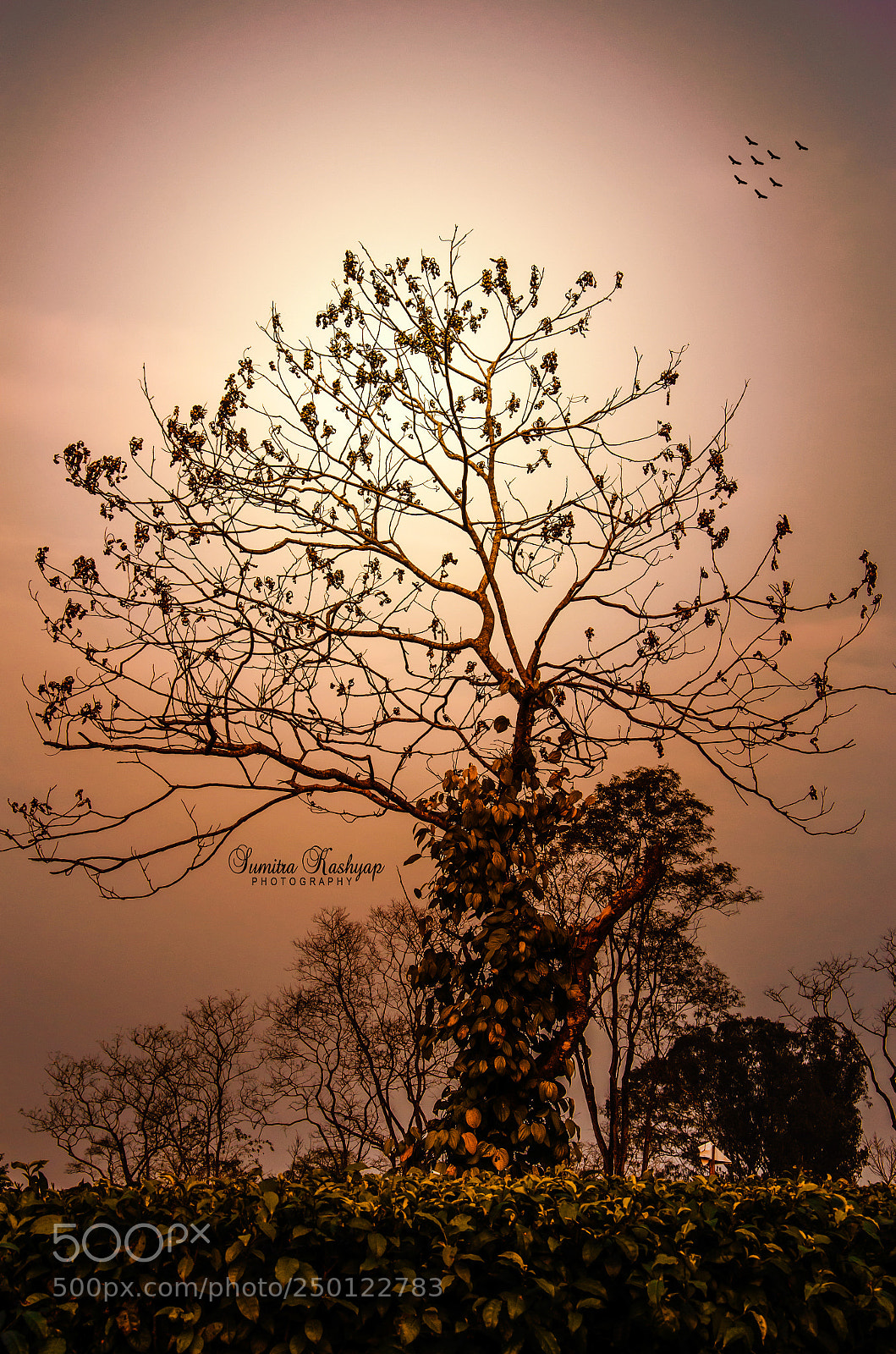 Nikon D7000 sample photo. Untitled photography