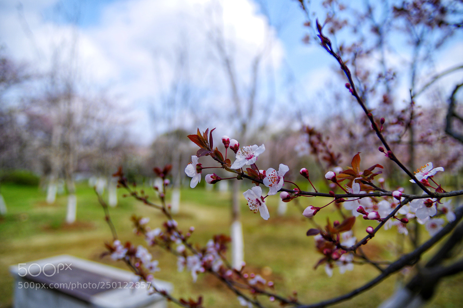 Pentax K-3 II sample photo. Untitled photography