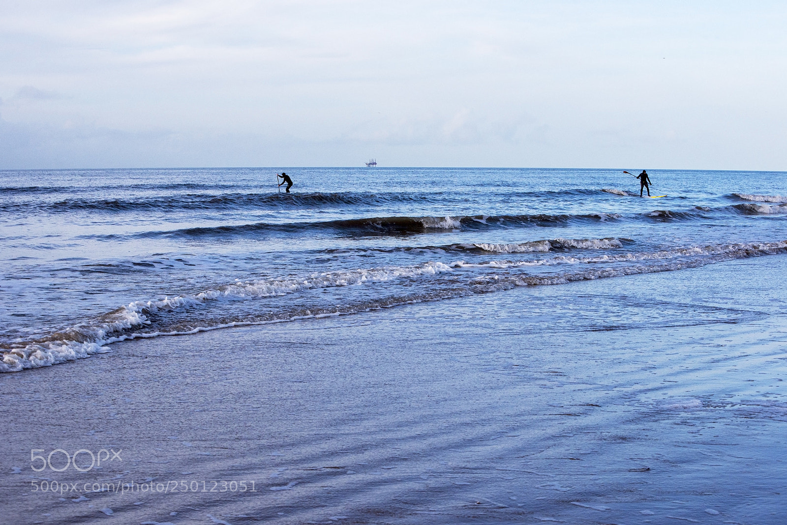 Nikon D600 sample photo. Intrepid pair! (1) photography