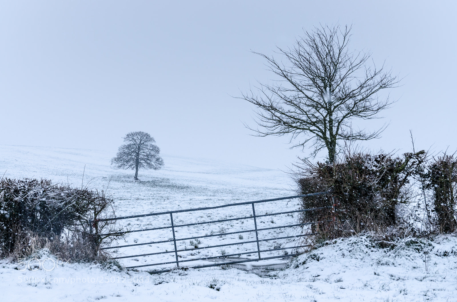 Nikon D5100 sample photo. Snowy gateway photography