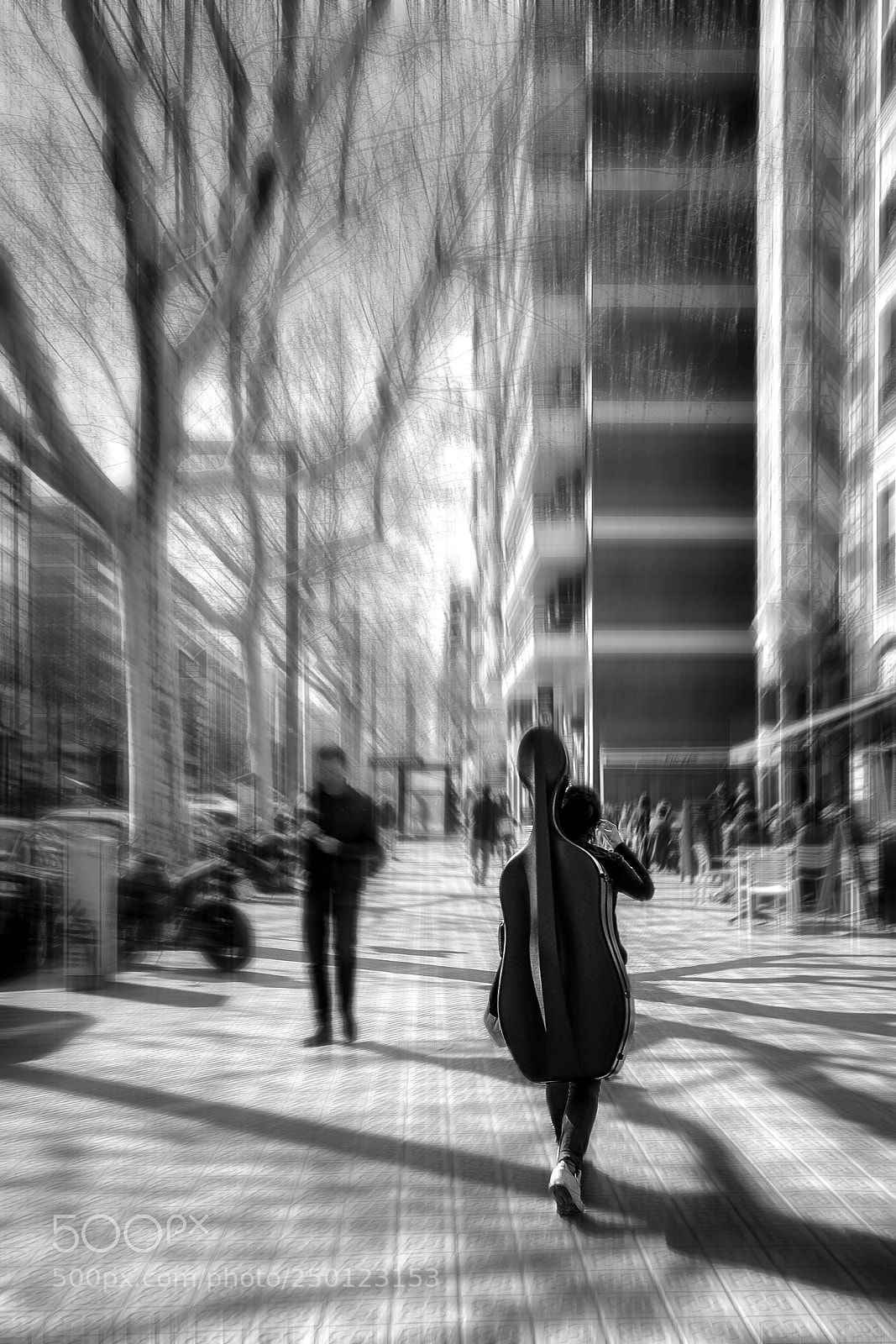 Sony Alpha NEX-7 sample photo. Cello photography
