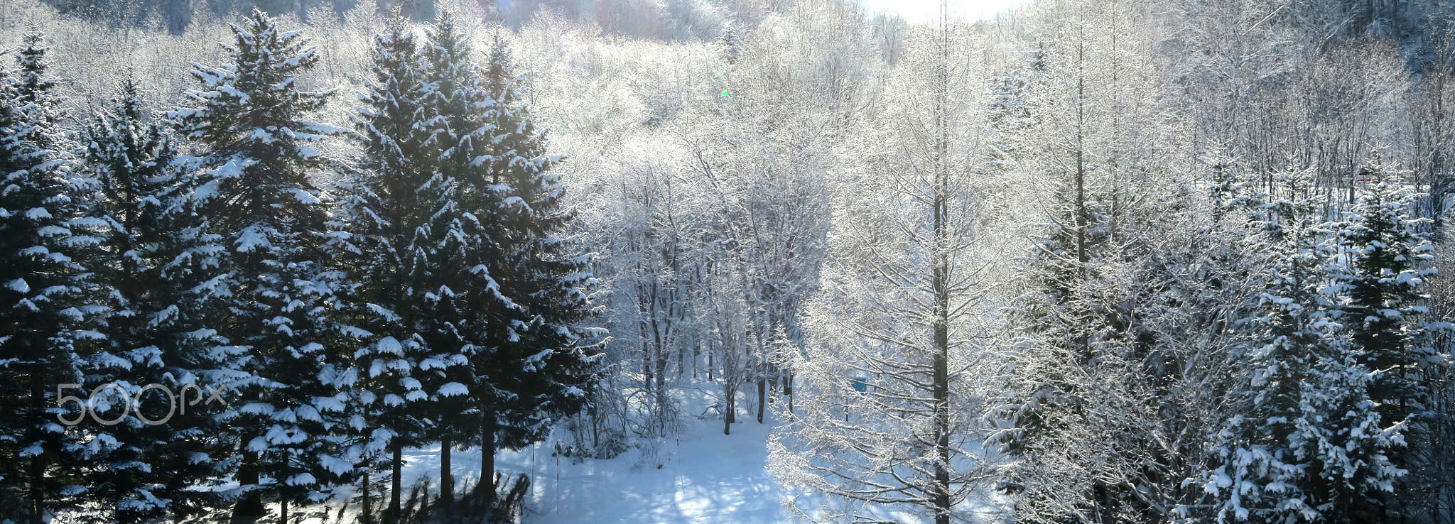 HOKKAIDO X / Winter - Snow 74