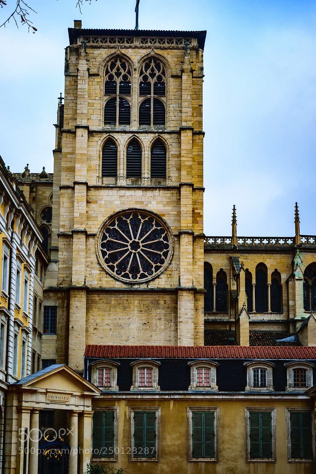 Nikon D3300 sample photo. Lyon saint jeanb rosette photography