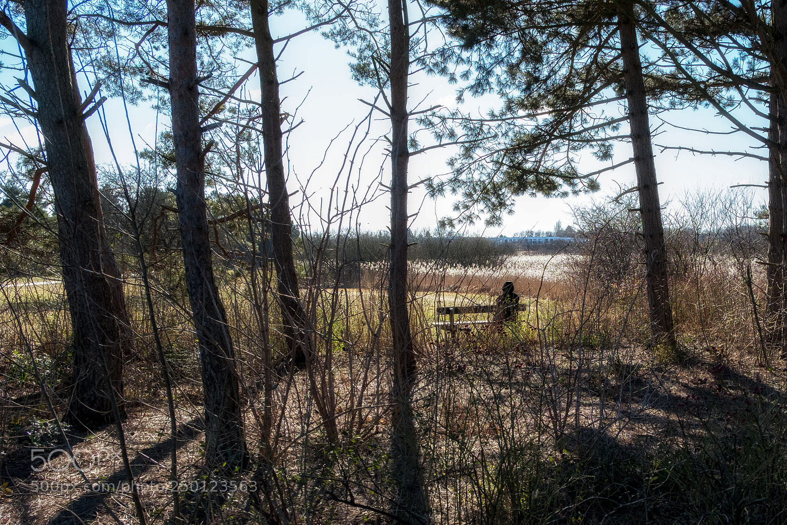 Fujifilm X-T2 sample photo. Just looking photography