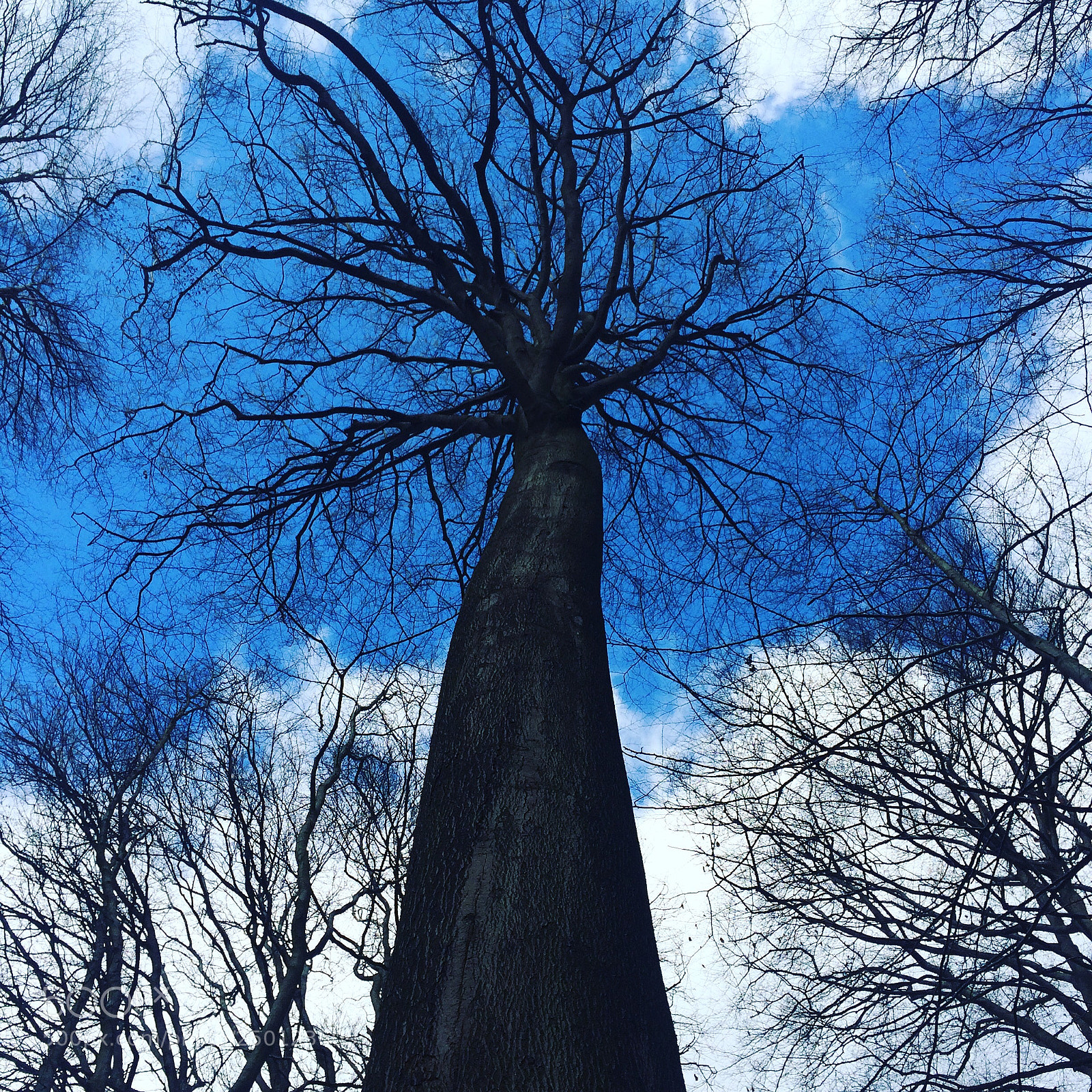 Apple iPhone 5s sample photo. Untitled photography