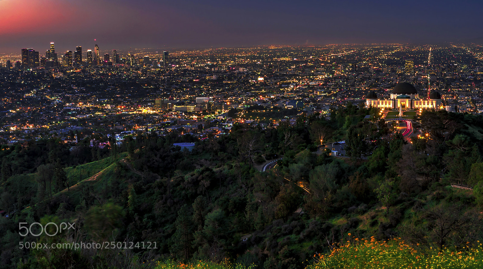 Panasonic Lumix DMC-GX8 sample photo. Good morning los angeles photography