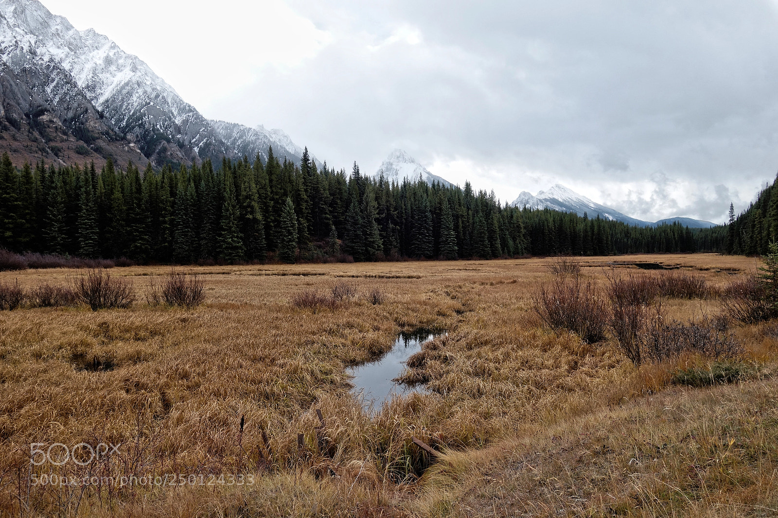 Sony Cyber-shot DSC-RX100 II sample photo. Ponds in the valley photography