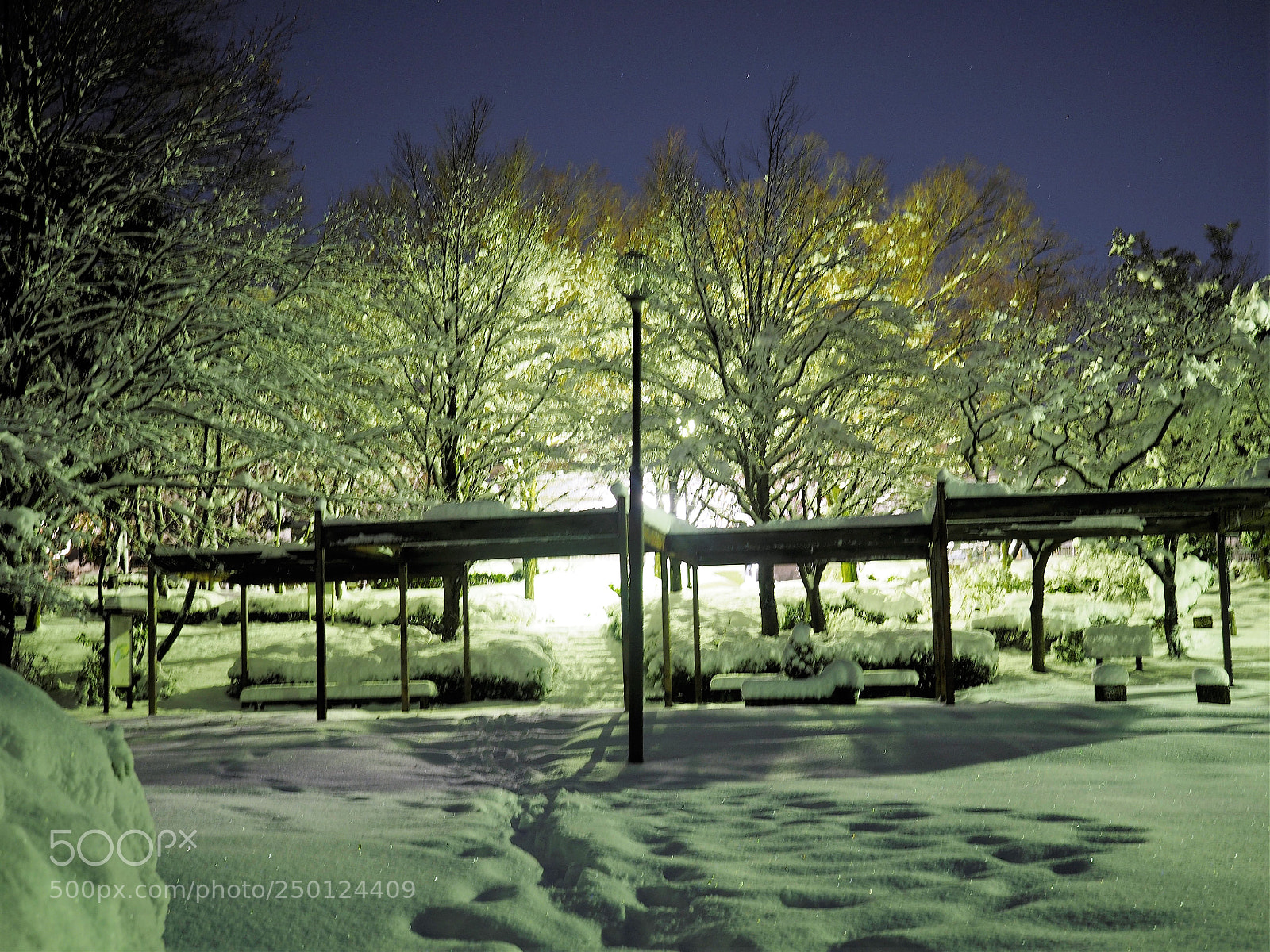 Olympus OM-D E-M1 sample photo. Snow scene at the photography