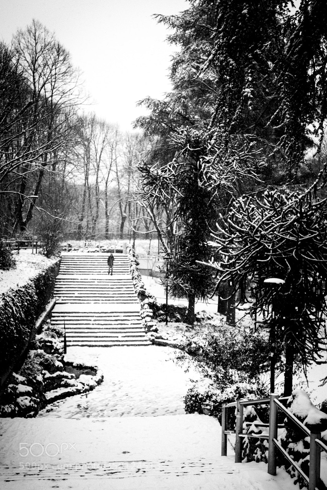 Canon EOS 80D sample photo. Snow at the park photography