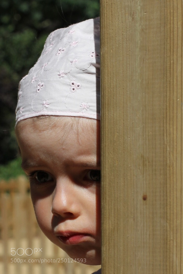 Canon EOS 550D (EOS Rebel T2i / EOS Kiss X4) sample photo. Behind the fence photography