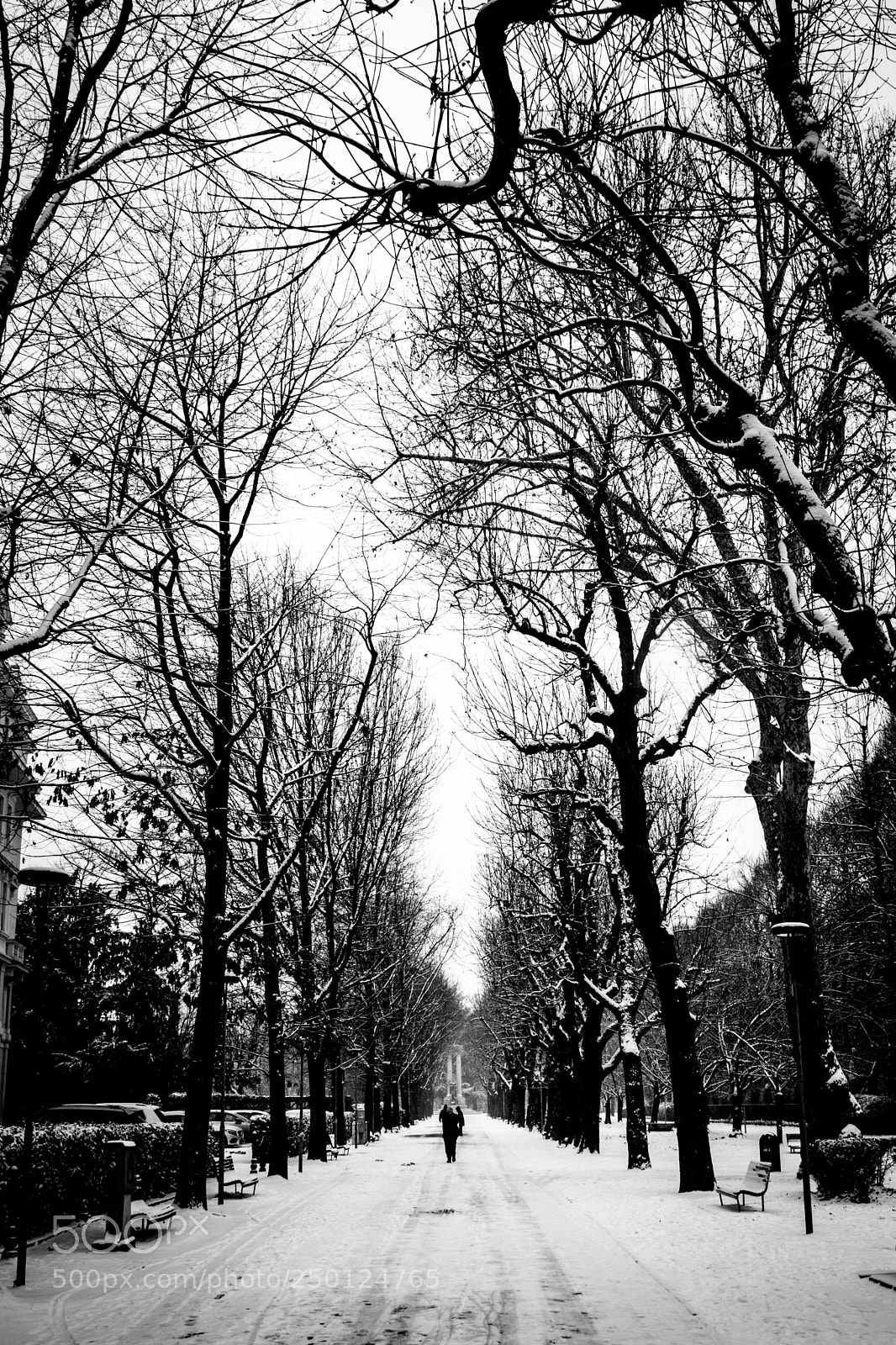Canon EOS 80D sample photo. Snow at the park photography