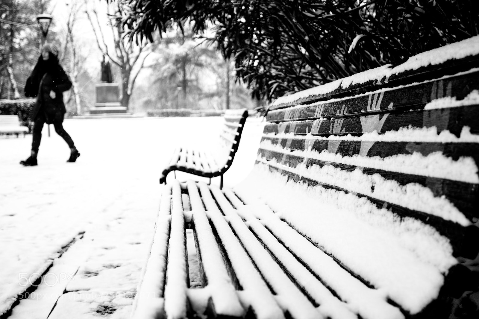 Canon EOS 80D sample photo. Snow at the park photography