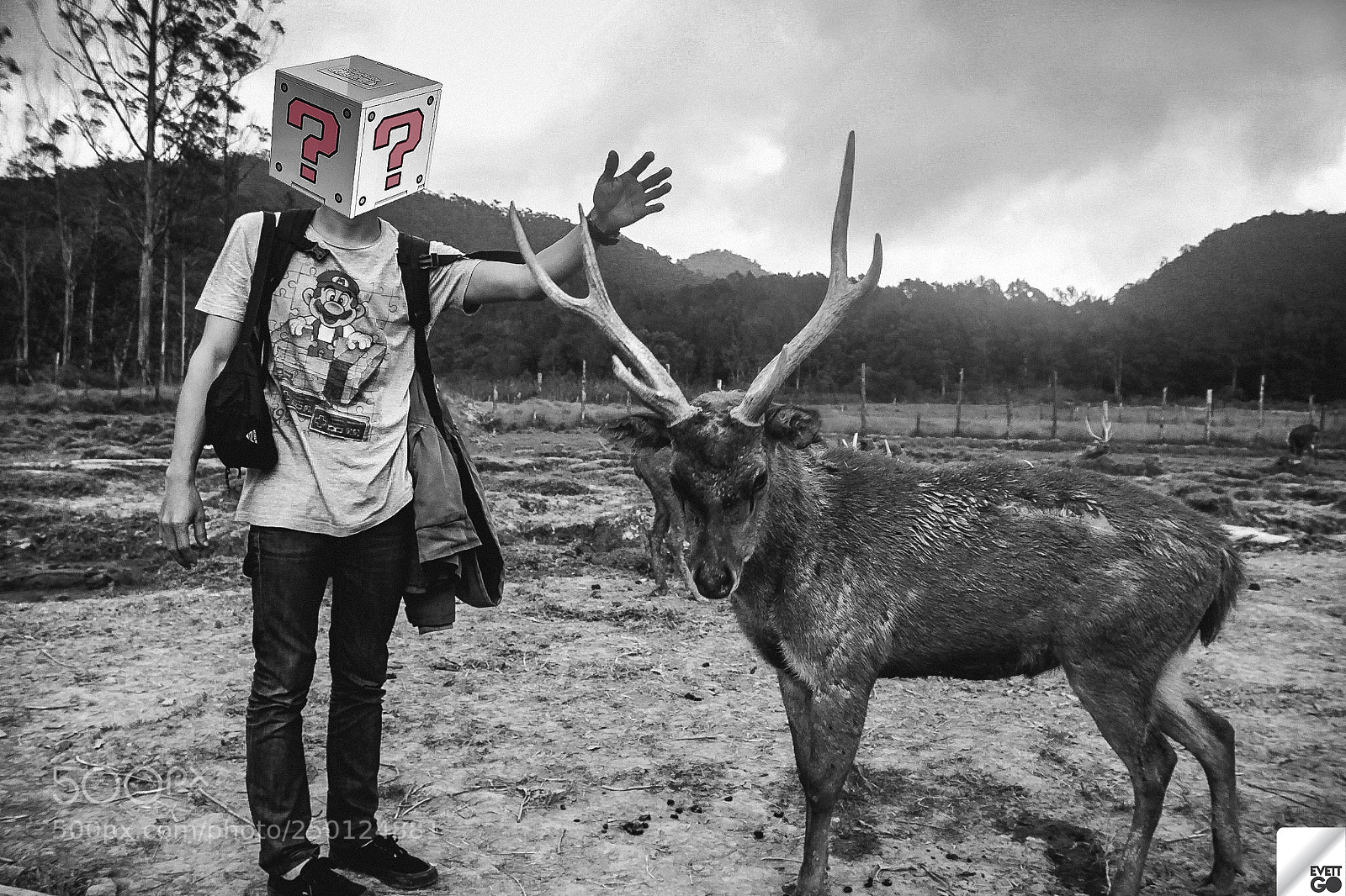 Canon EOS 60D sample photo. Hey deer photography
