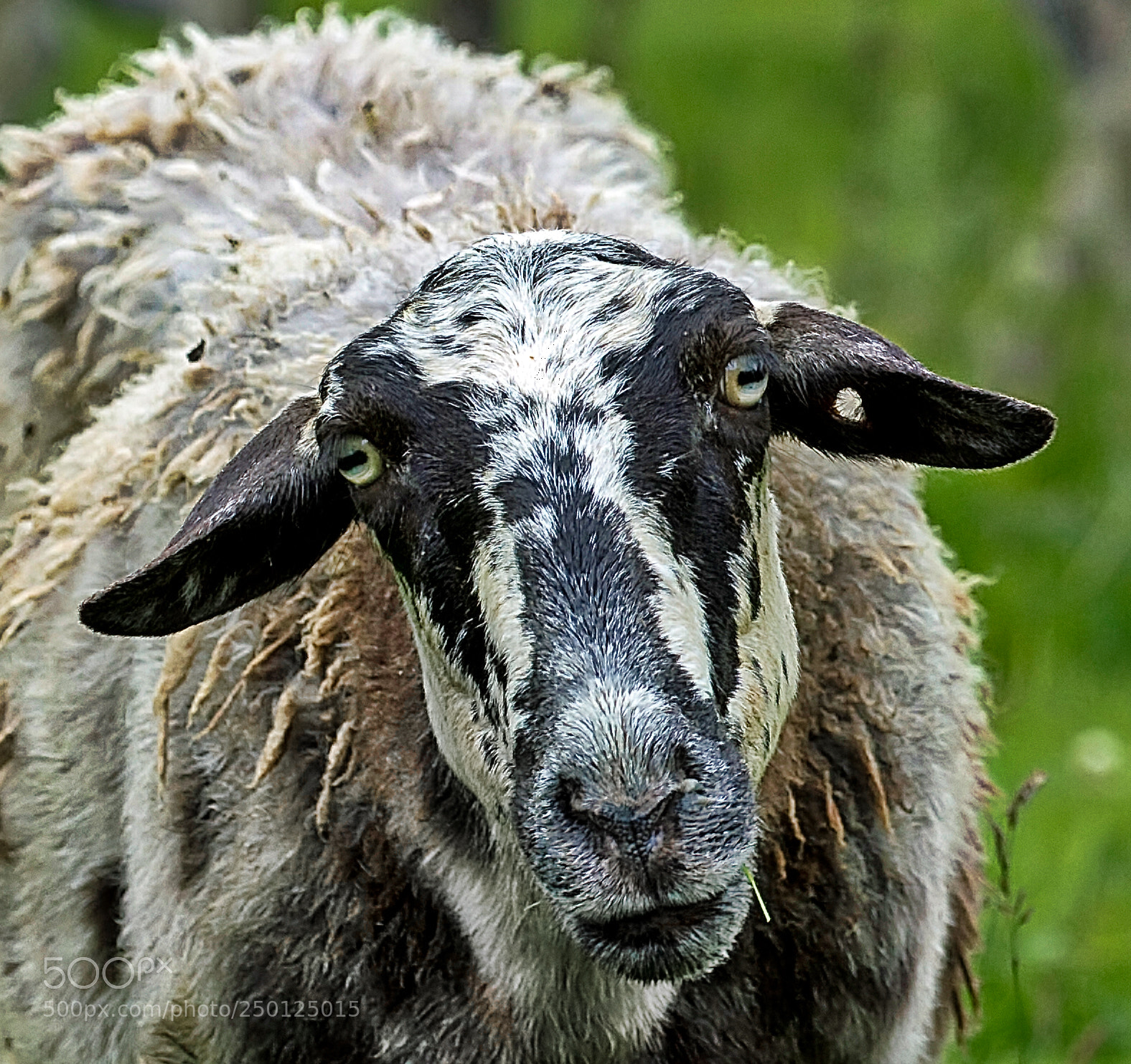 Canon EOS 7D sample photo. A look which can photography