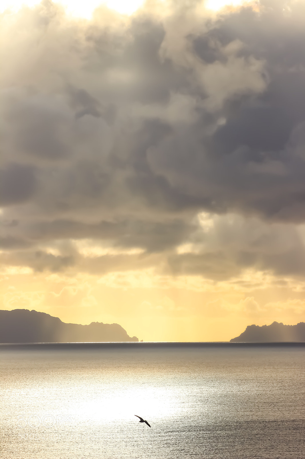 Canon EOS 600D (Rebel EOS T3i / EOS Kiss X5) sample photo. The morning view photography