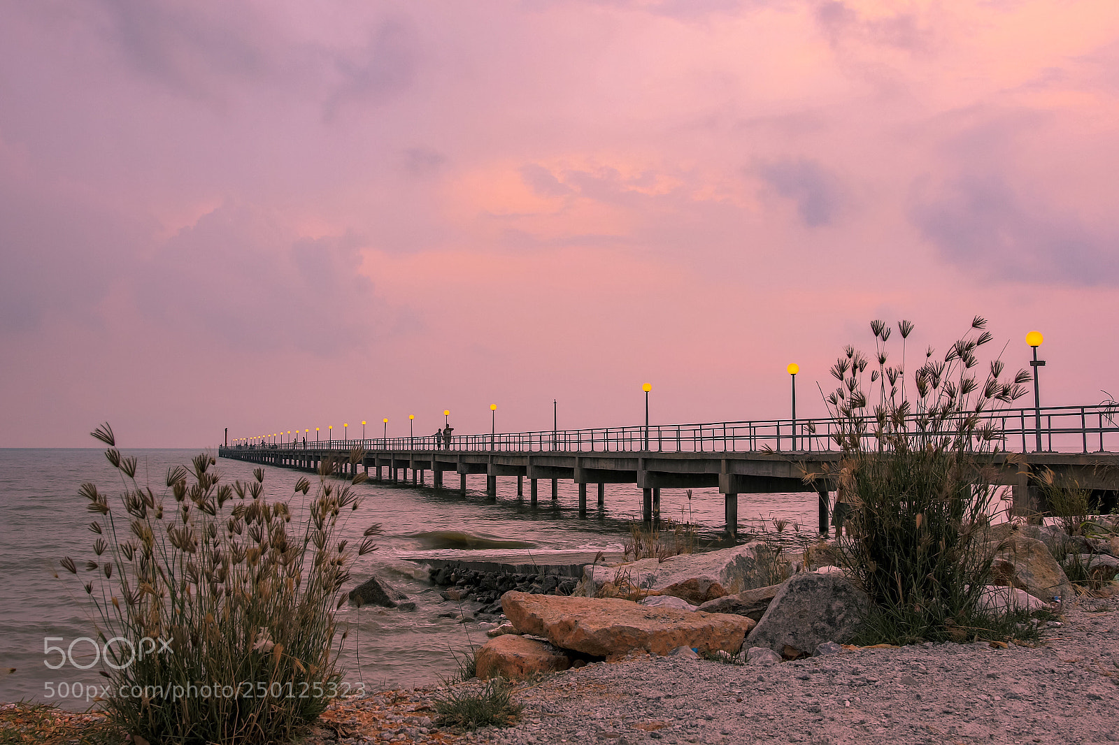 Canon EOS 7D Mark II sample photo. Untitled photography