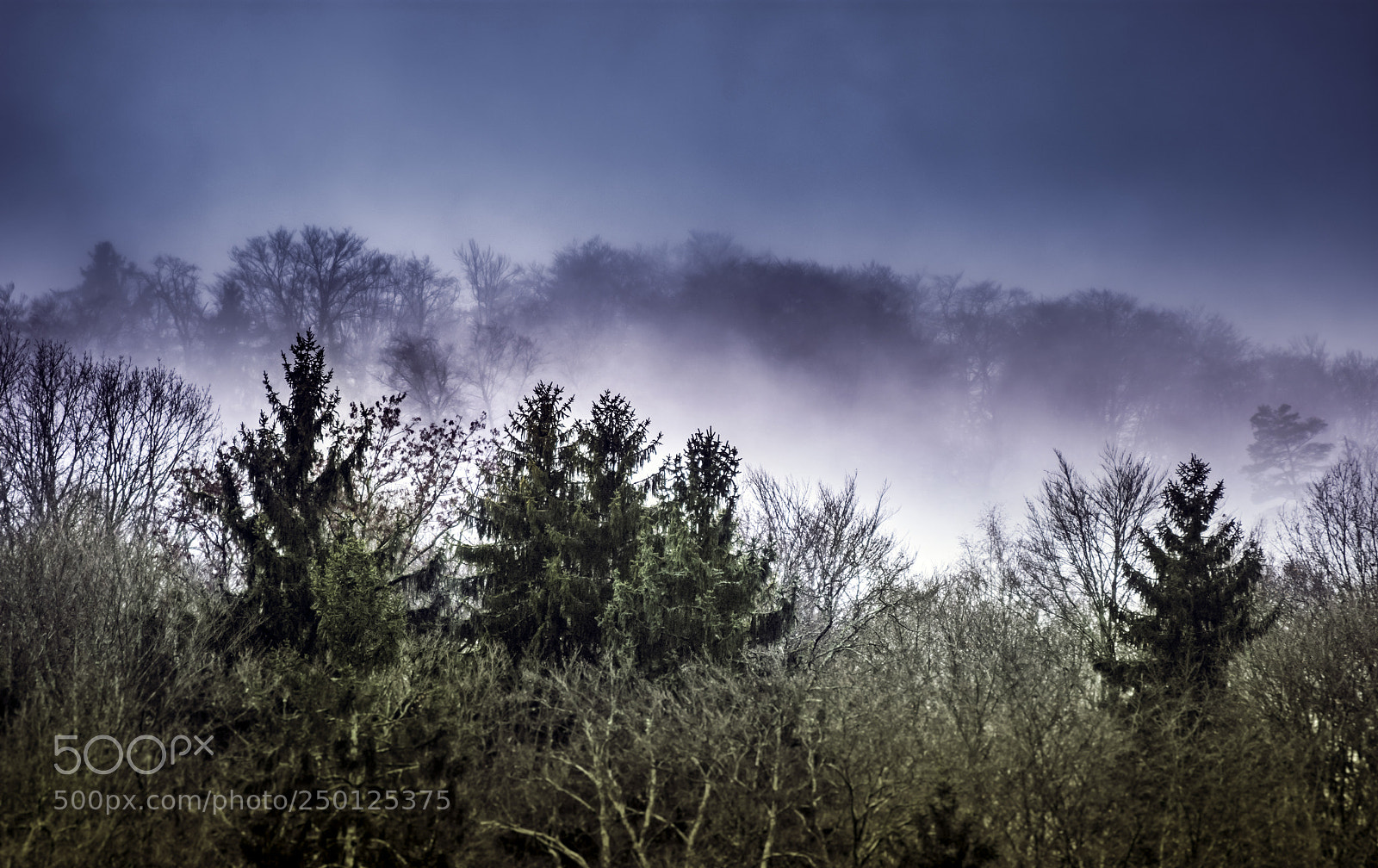 Nikon D7200 sample photo. Mist limit photography