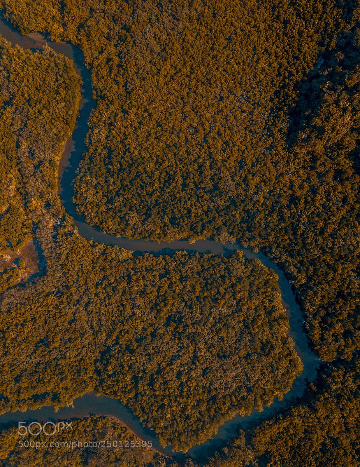DJI FC220 sample photo. Drone view of a photography