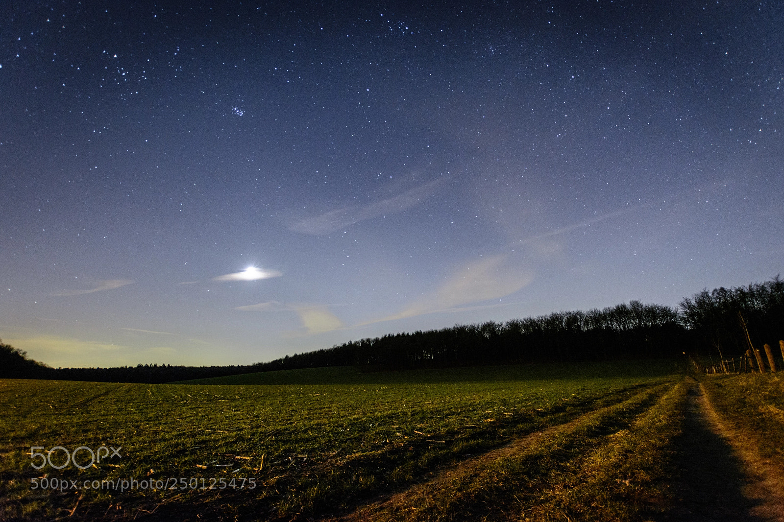 Nikon D5200 sample photo. Sternenhimmel über kleve photography