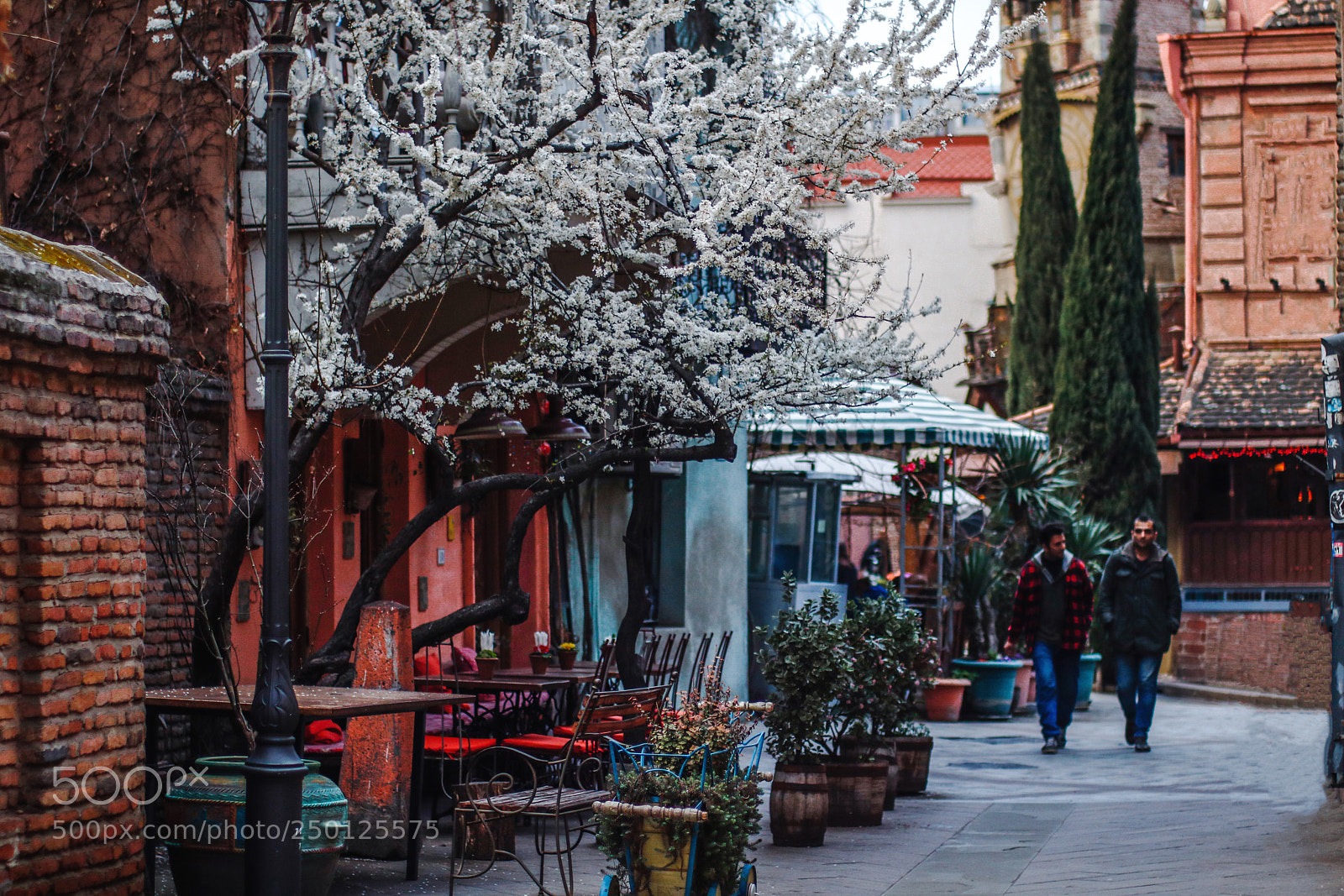 Canon EOS 750D (EOS Rebel T6i / EOS Kiss X8i) sample photo. Spring in tbilisi photography