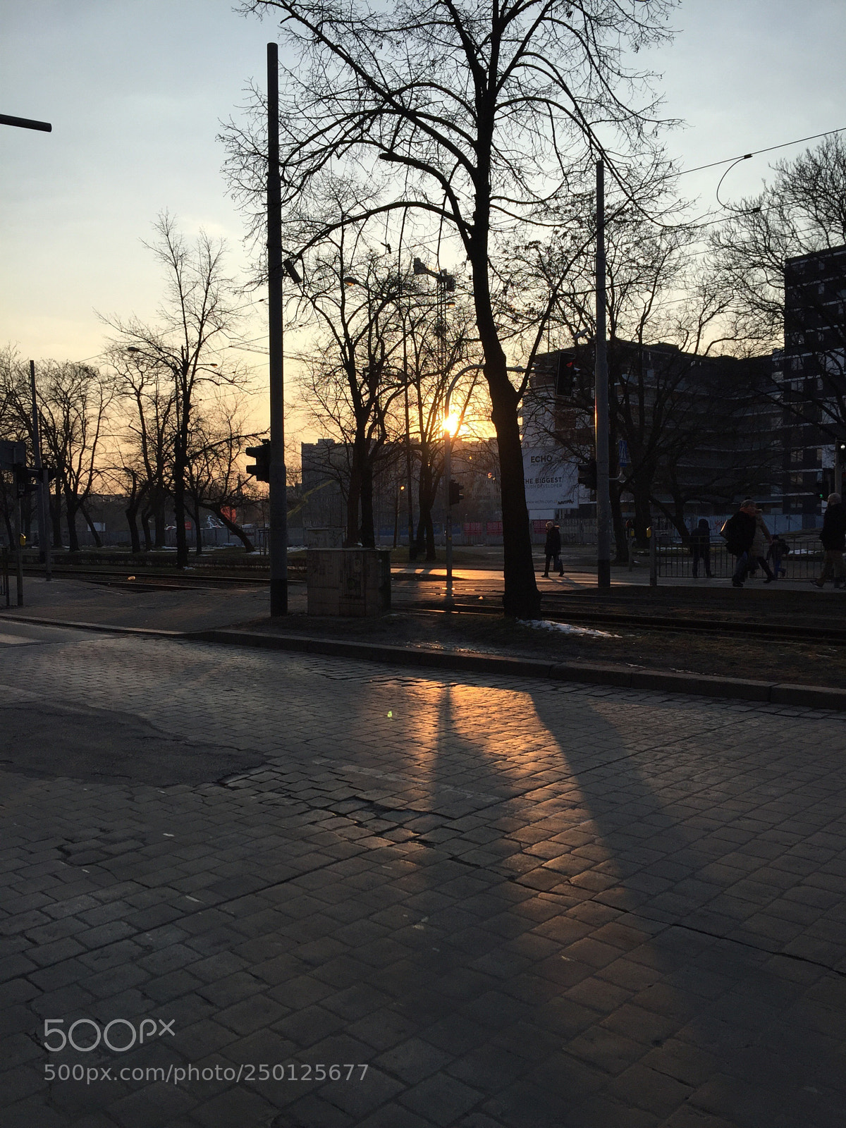 Apple iPhone 6 sample photo. Untitled photography
