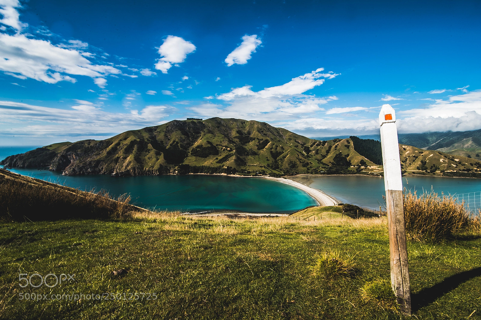 Nikon D4 sample photo. Cable bay pepin island photography