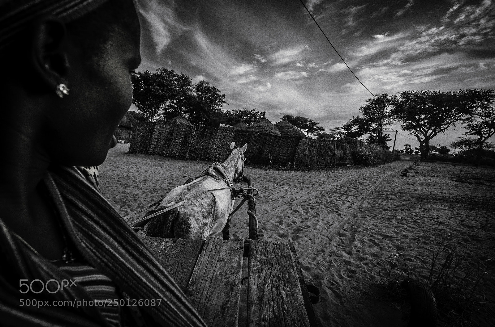 Nikon D7000 sample photo. Horse photography