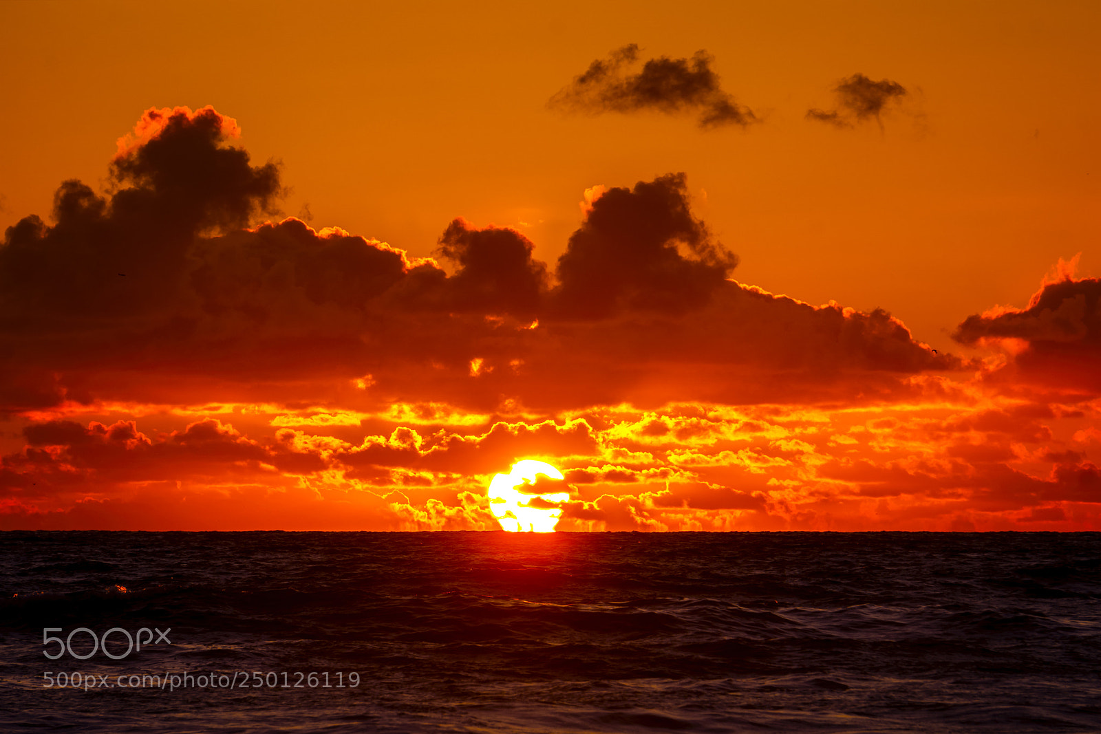Sony a6000 sample photo. Golden sunset in oceanside photography