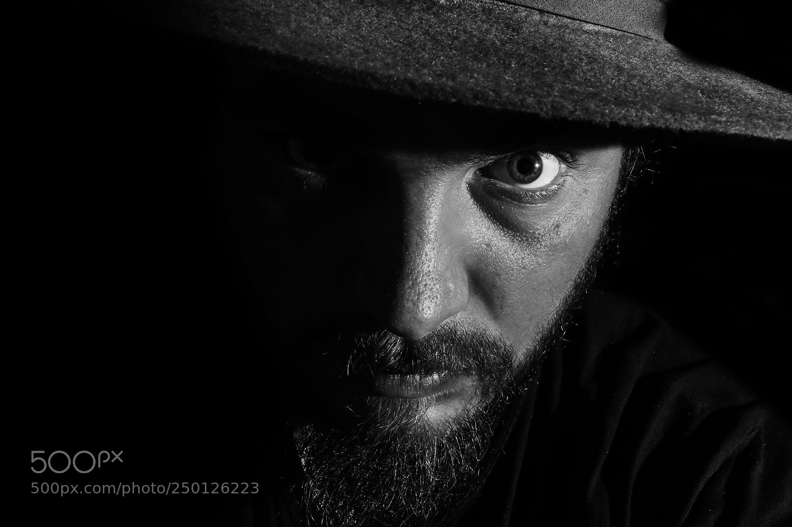 Canon EOS 80D sample photo. Untitled photography