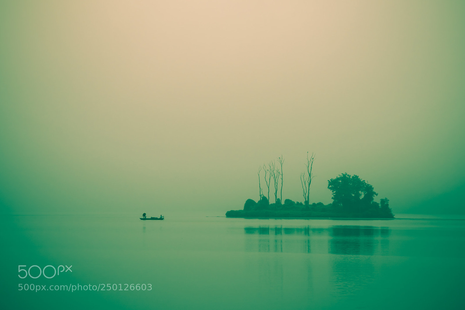 Nikon D810 sample photo. Morning of the lake photography
