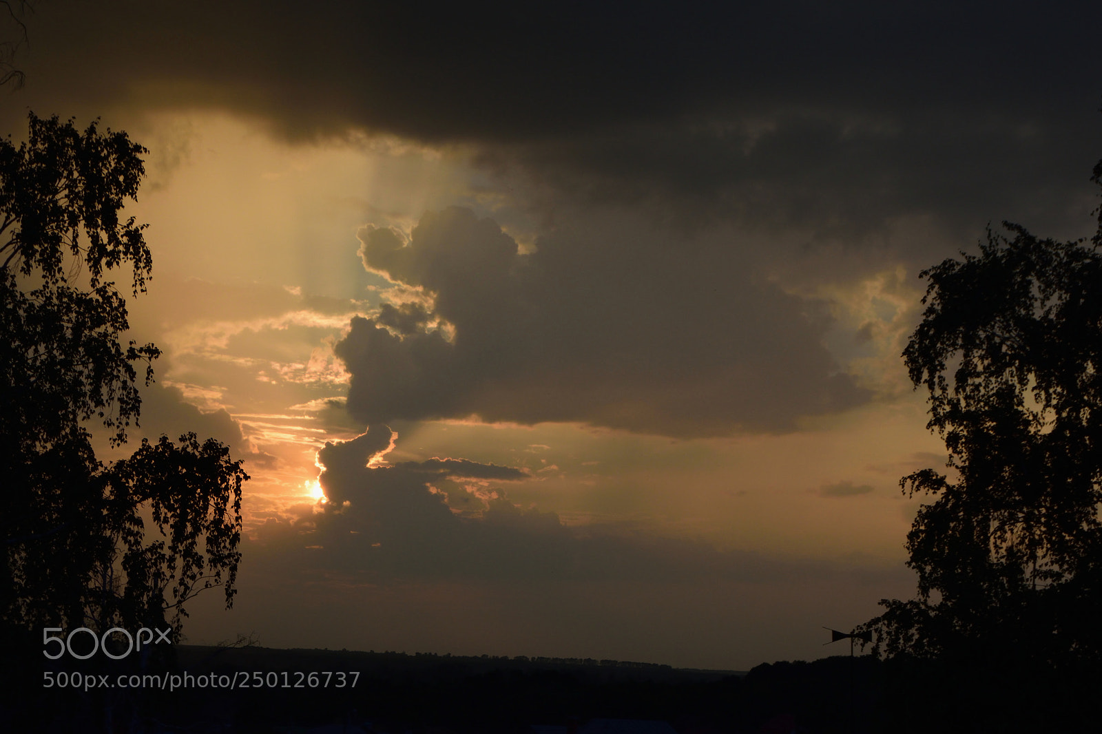 Nikon D3300 sample photo. Brown sunset photography