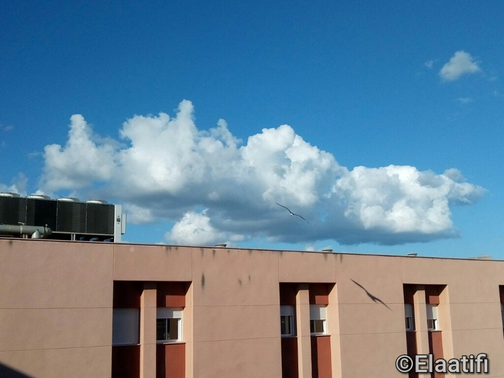 Meizu M3s sample photo. Buenos días, bonita nube con la gaviota photography