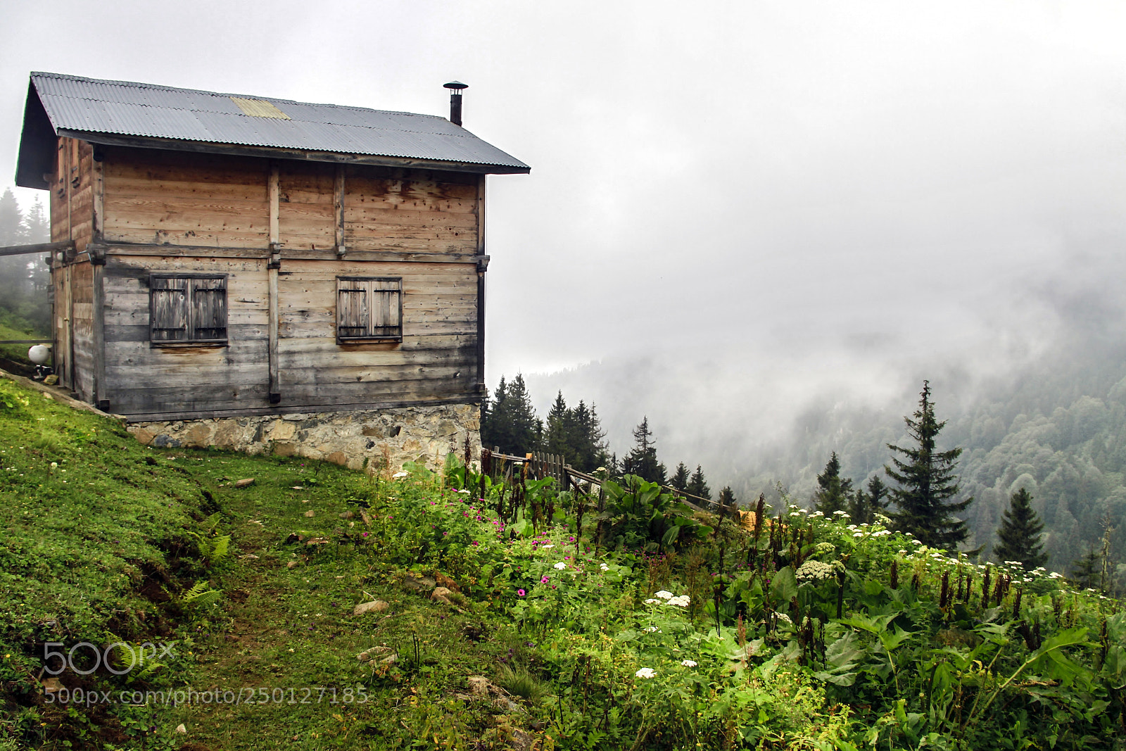 Canon EOS 7D sample photo. Pokut plateau_rize_turkey photography