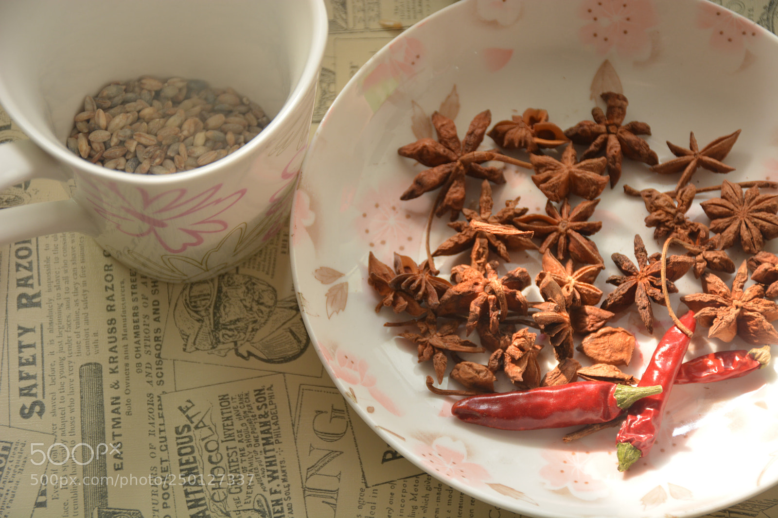 Nikon D7100 sample photo. Untitled photography