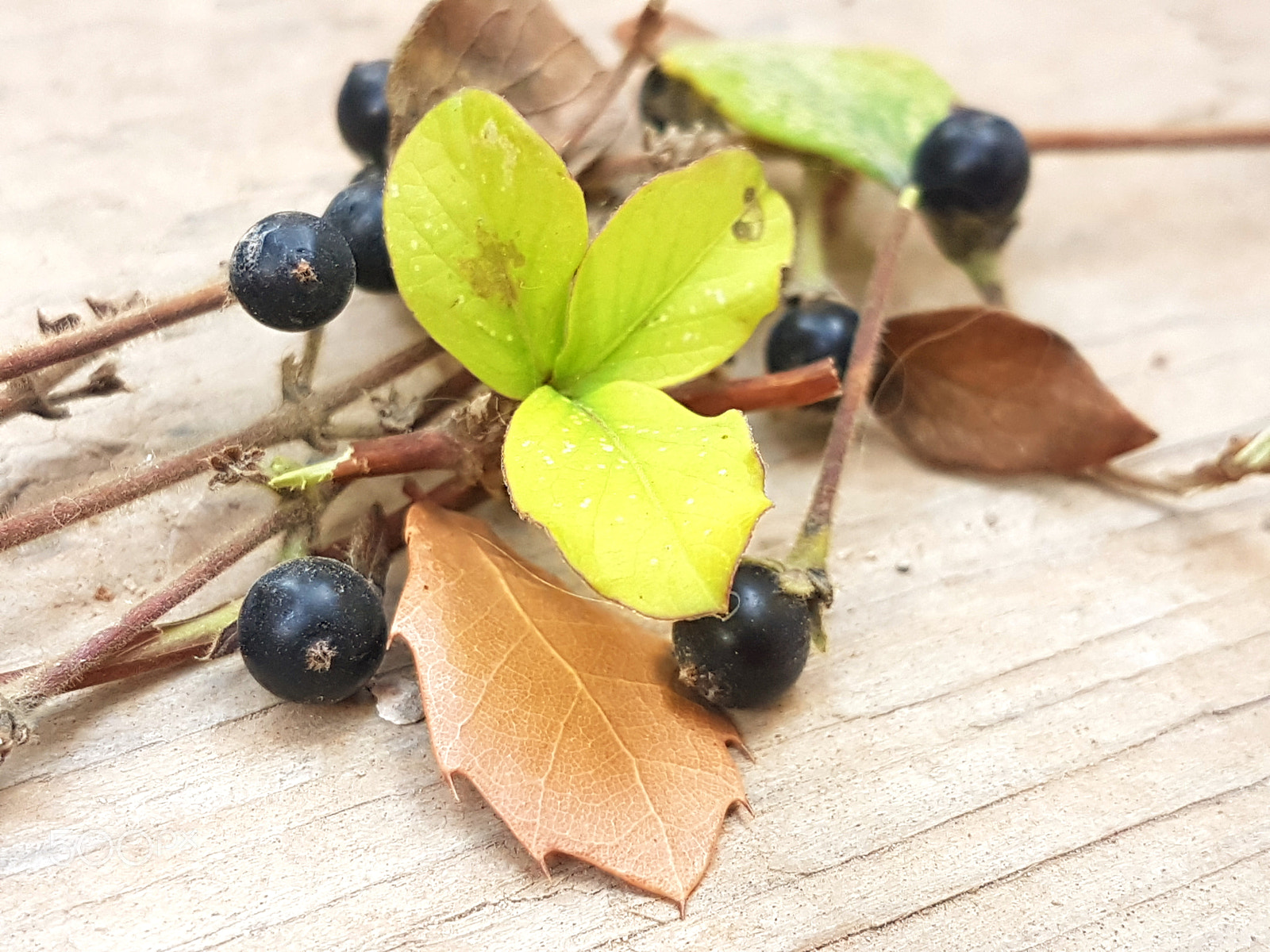 Samsung Galaxy S7 Edge sample photo. Untitled photography