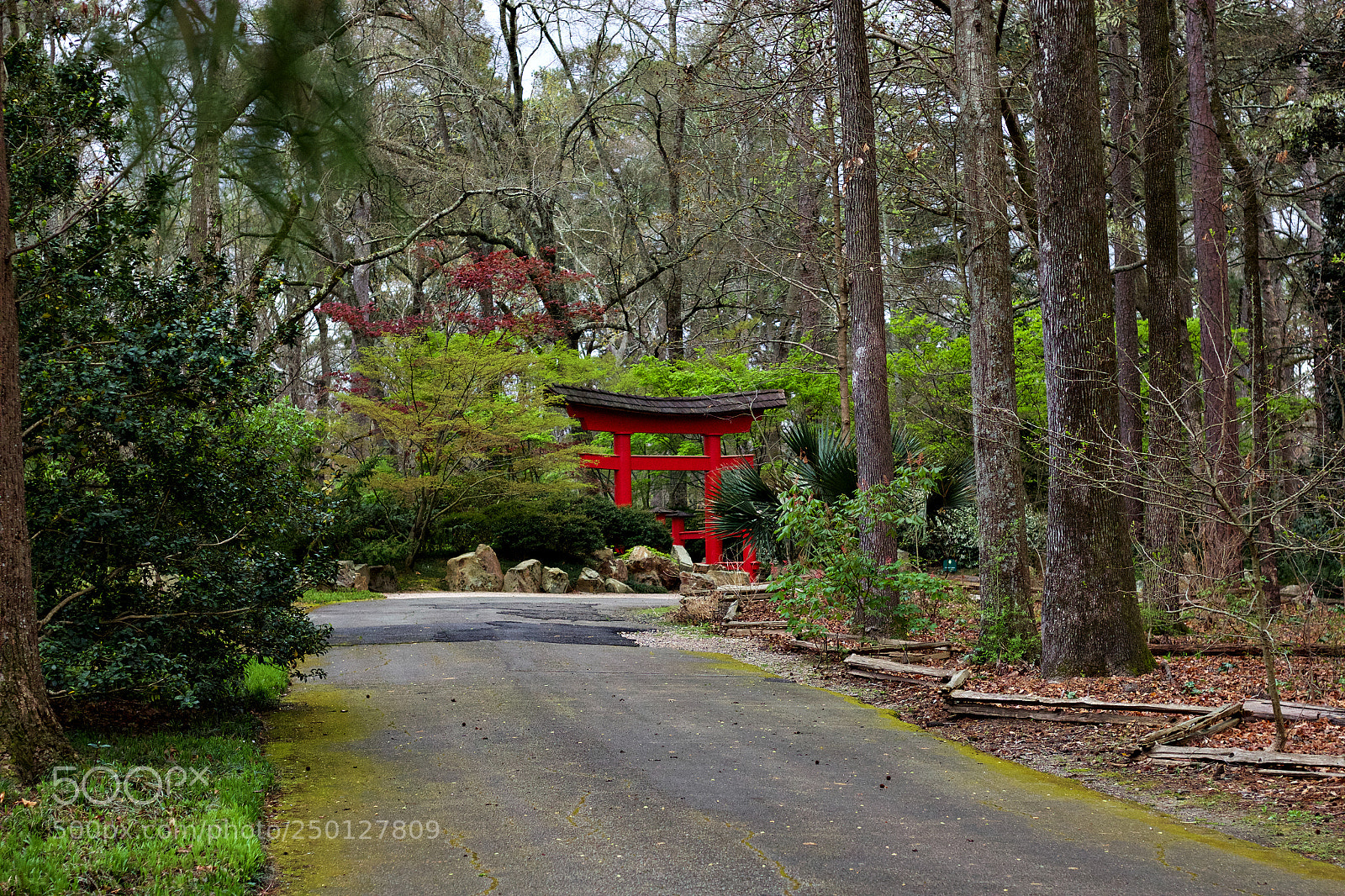 Canon EOS 60D + Canon EF 50mm F1.8 STM sample photo. Red gate in the photography