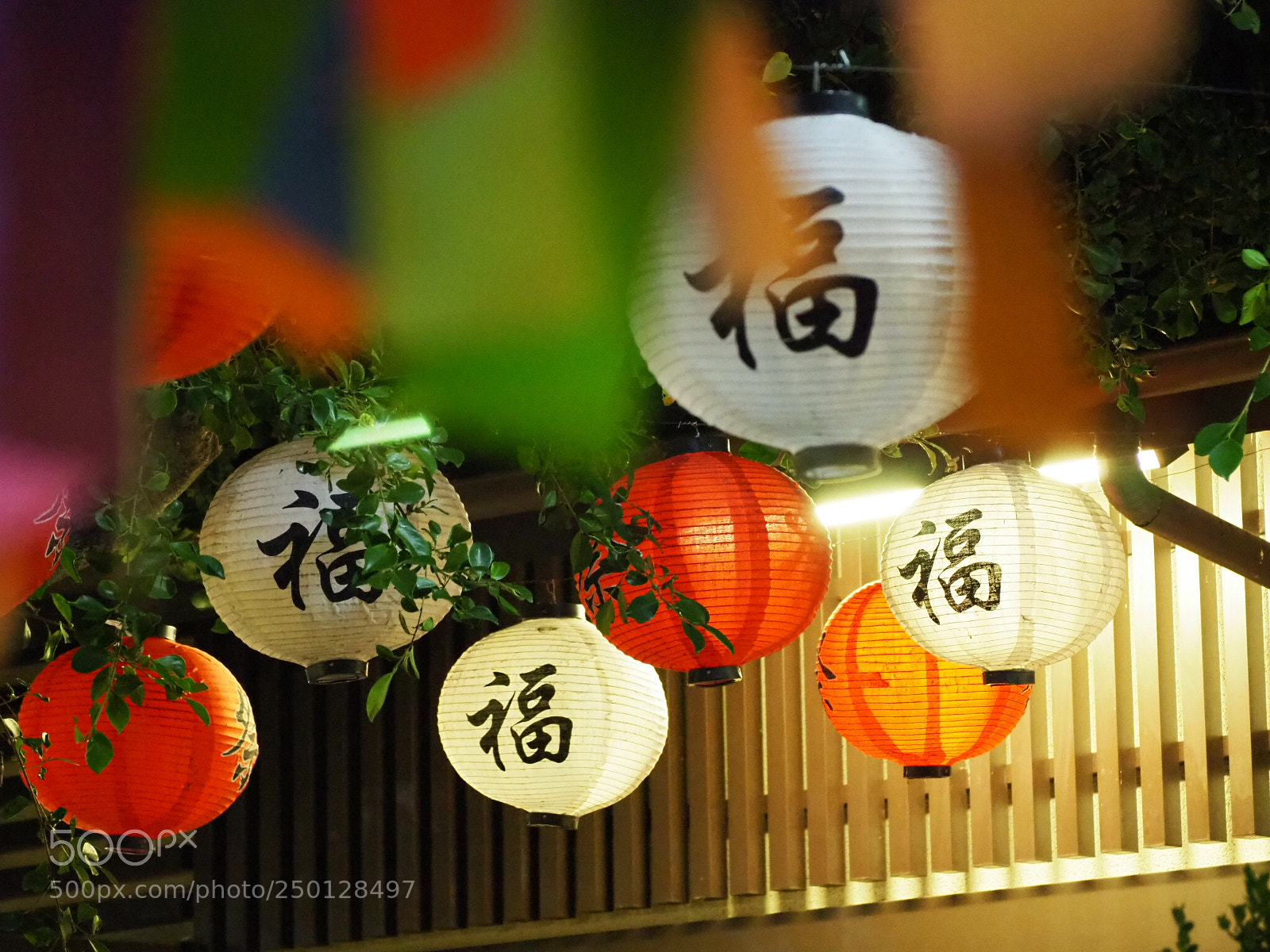 Olympus OM-D E-M10 III sample photo. Untitled photography