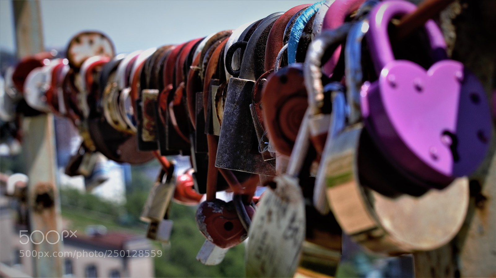 Sony Alpha a5000 (ILCE 5000) sample photo. Russia vladivostock photography