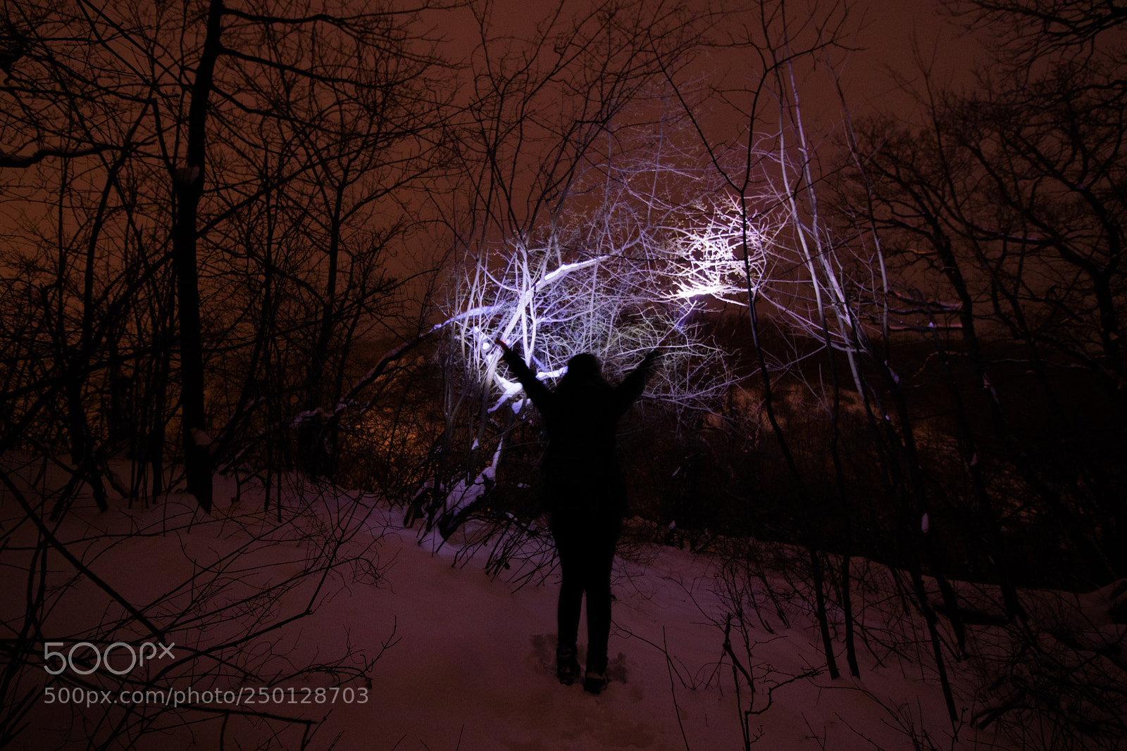 Canon EOS 80D sample photo. Purple lights #1 photography