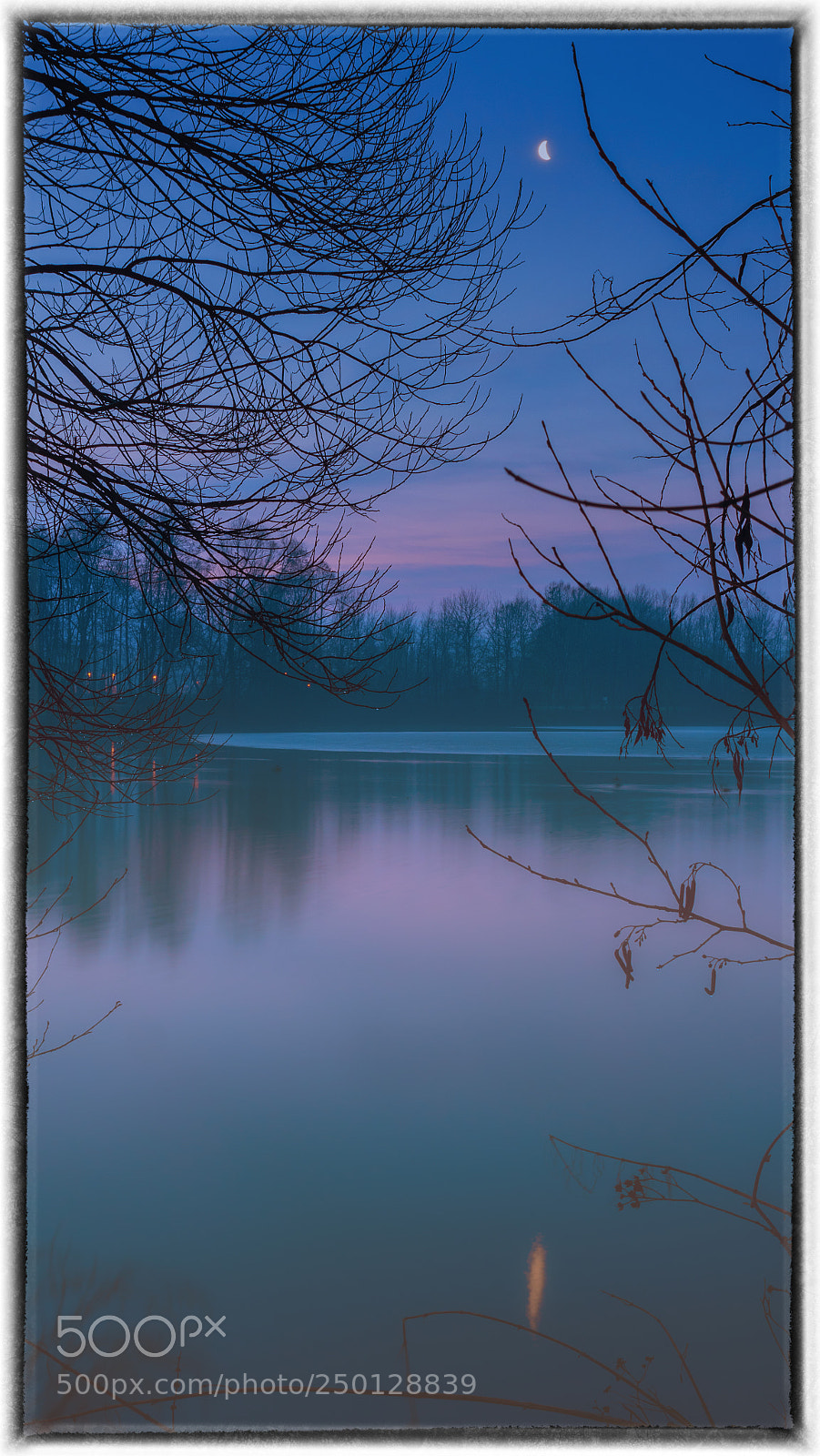 Panasonic Lumix DMC-GX8 sample photo. Moonlight at dawn photography
