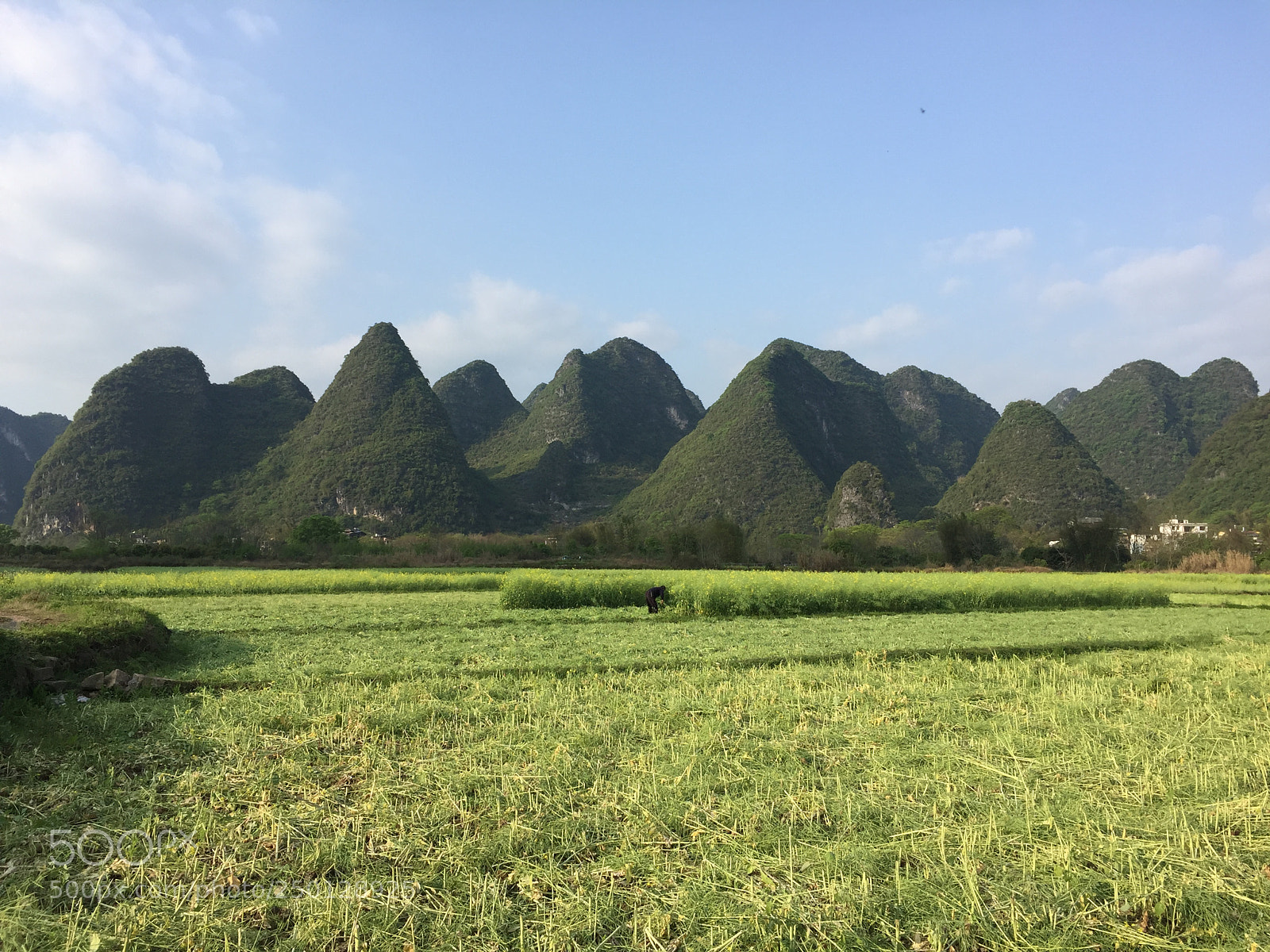 Apple iPhone 6 sample photo. Https m.facebook.com yangshuo-kates-private-tours-127184188097490 photography